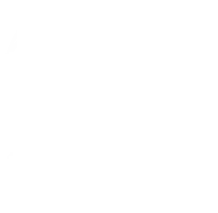 fleet